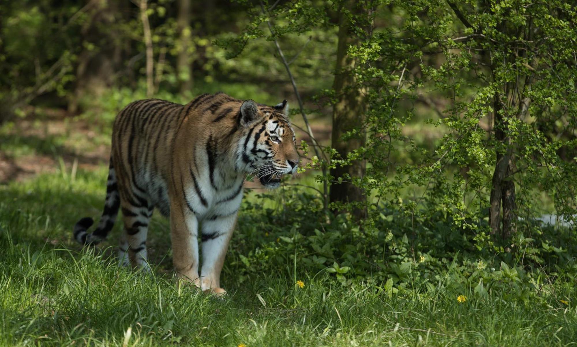 Hotel Knuthenborg Safaripark à Maribo Extérieur photo