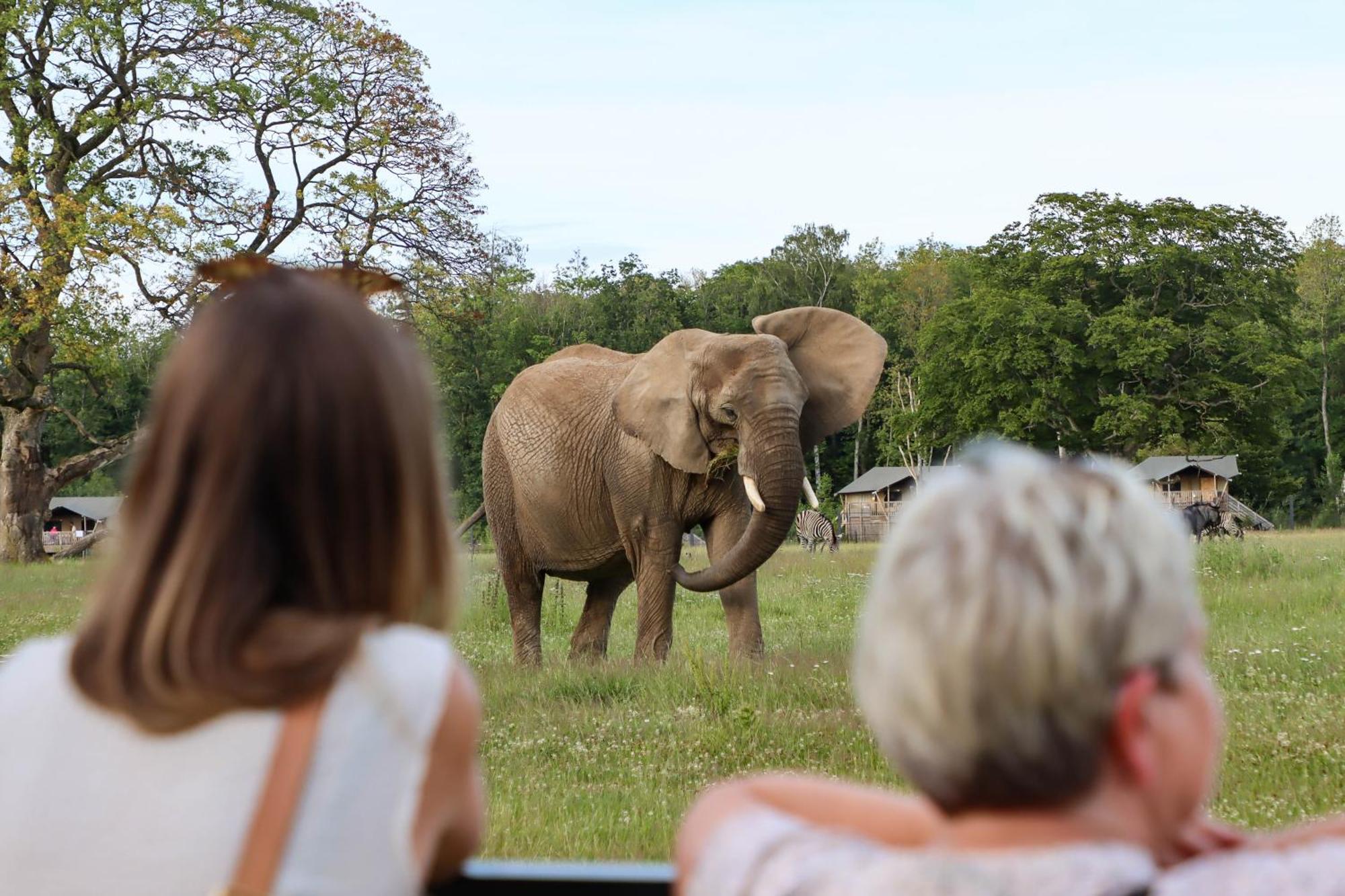 Hotel Knuthenborg Safaripark à Maribo Extérieur photo