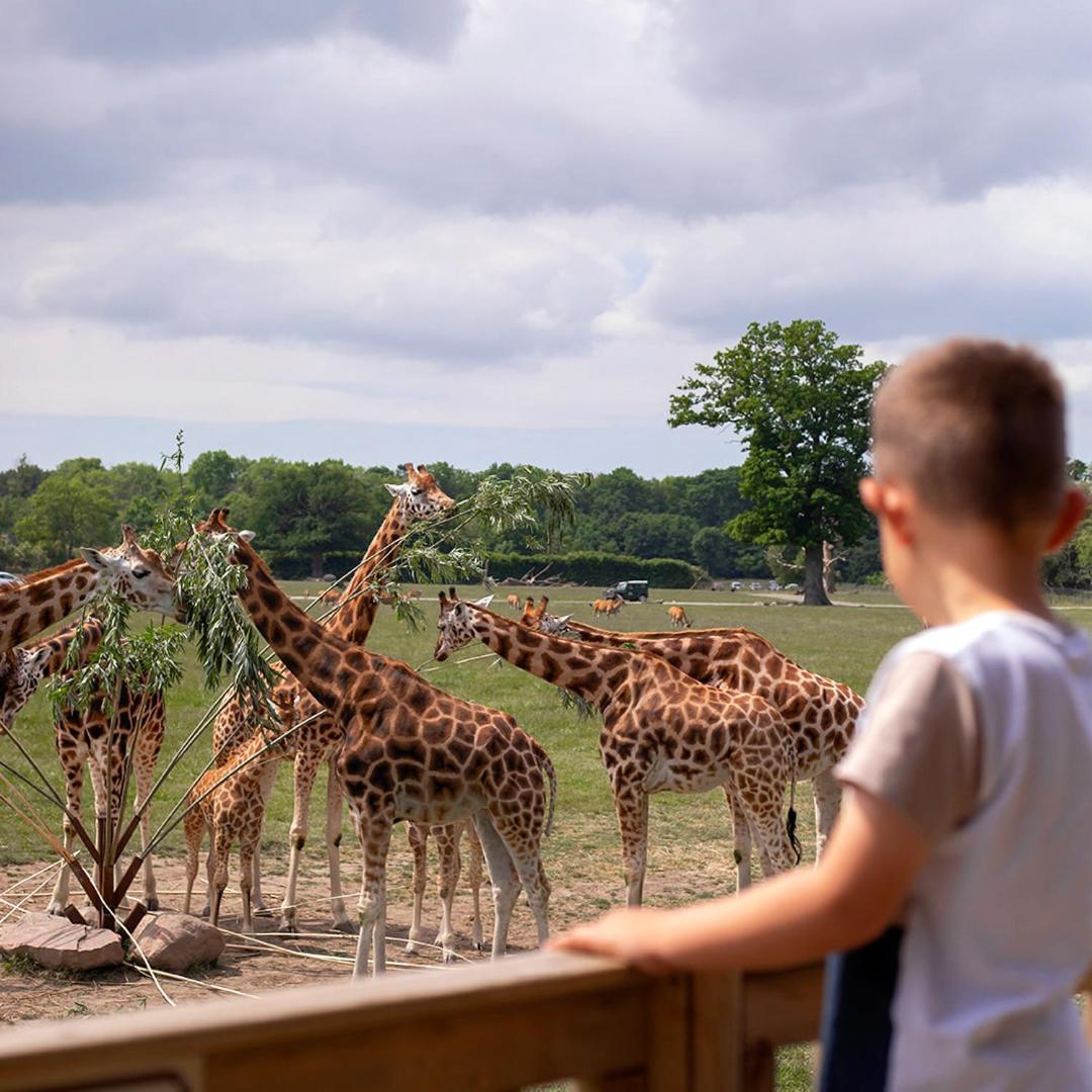 Hotel Knuthenborg Safaripark à Maribo Extérieur photo