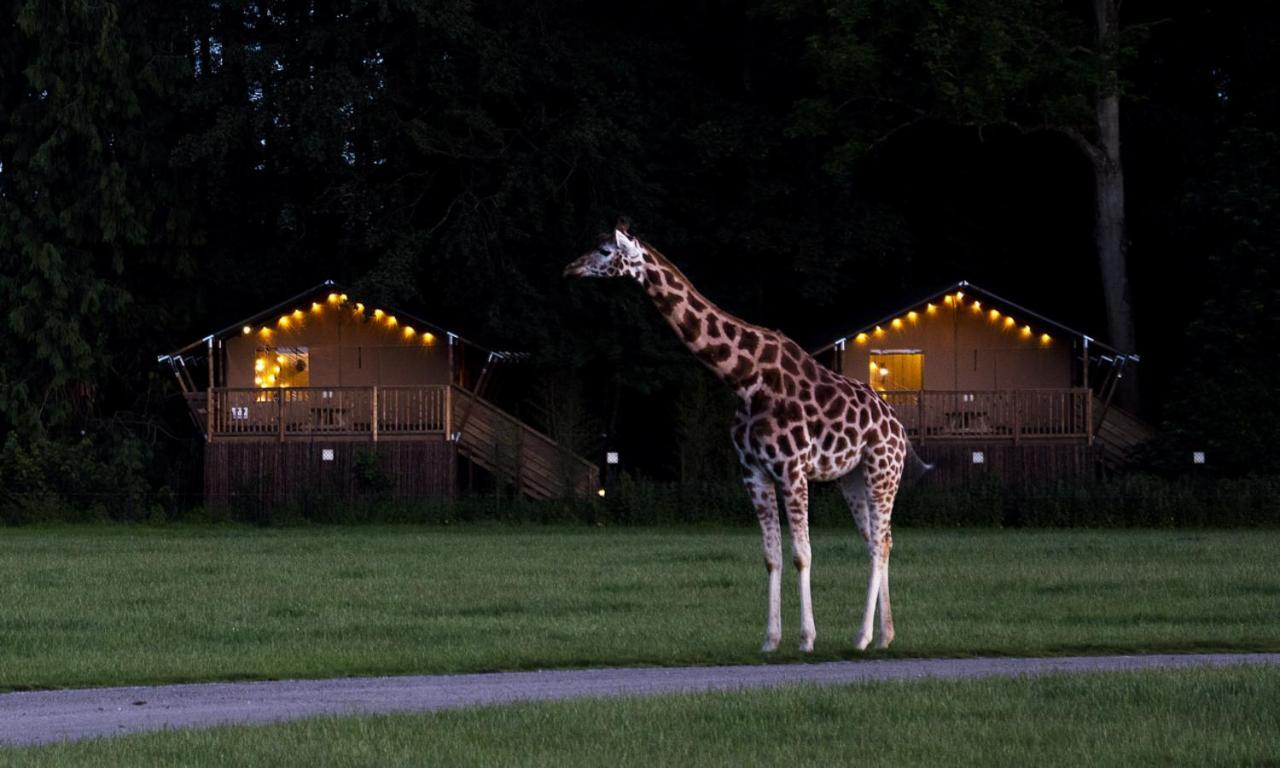 Hotel Knuthenborg Safaripark à Maribo Extérieur photo