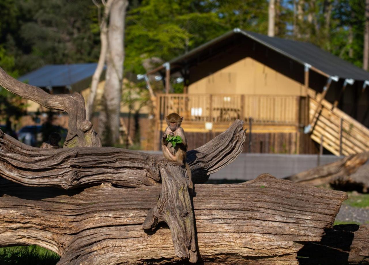 Hotel Knuthenborg Safaripark à Maribo Extérieur photo