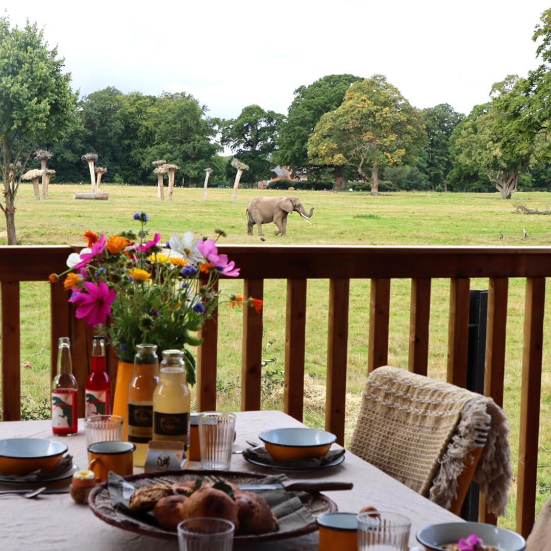 Hotel Knuthenborg Safaripark à Maribo Extérieur photo