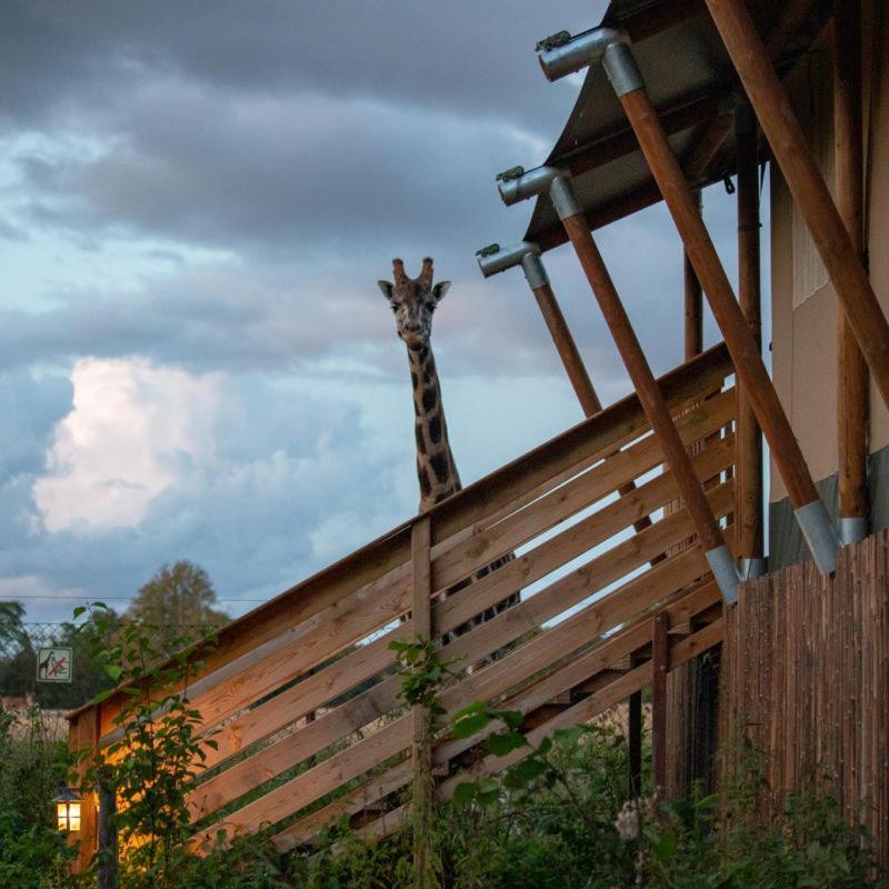 Hotel Knuthenborg Safaripark à Maribo Extérieur photo